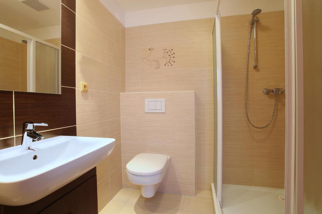 Wellness Resort Energetic Rožnov pod Radhoštěm Rum bild